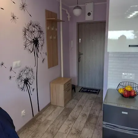 Mieszkanie 16m2 Orunia Apartment *