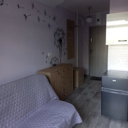 Apartment Mieszkanie 16m2 Orunia